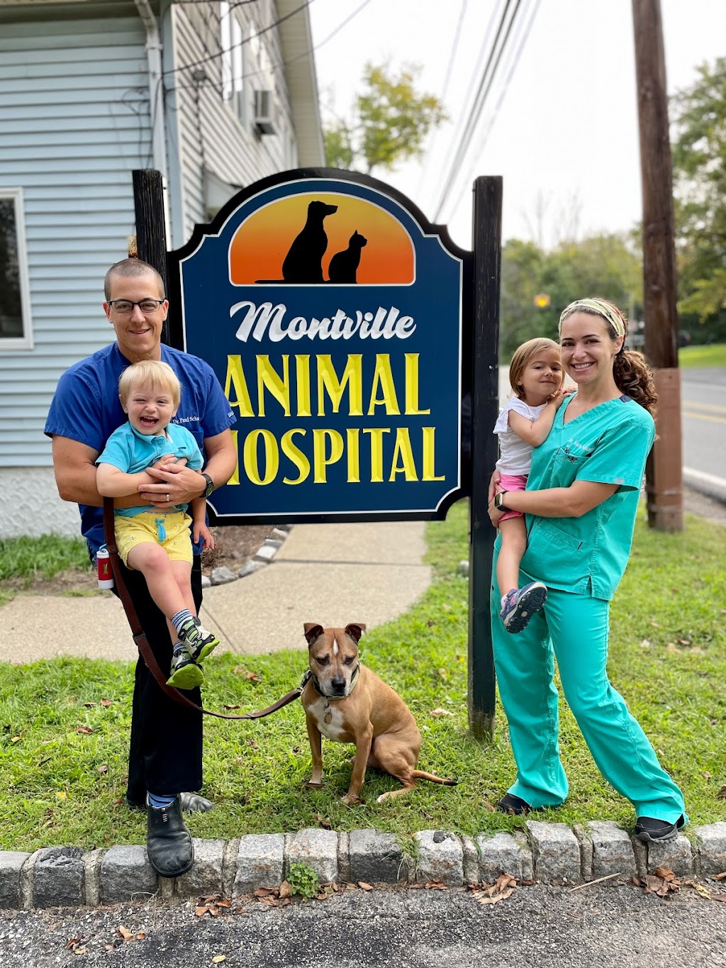 Montville Animal Hospital | 6 Whitehall Rd, Towaco, NJ 07082 | Phone: (973) 335-8007