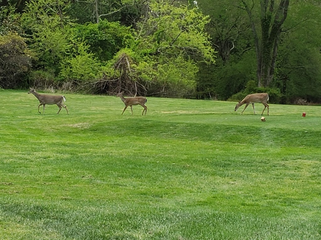 Ocean County Golf Course at Atlantis | 261 Country Club Blvd, Little Egg Harbor Township, NJ 08087 | Phone: (609) 296-2444