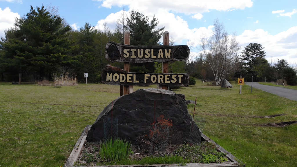 Siuslaw Model Forest - Cornell Cooperative Extension | 6055 NY-23, Acra, NY 12405 | Phone: (518) 622-9820 ext. 113