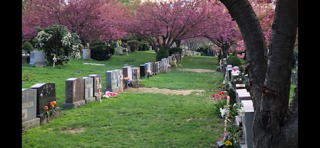 All Saints Cemetery | Great Neck, NY 11024 | Phone: (516) 482-5392