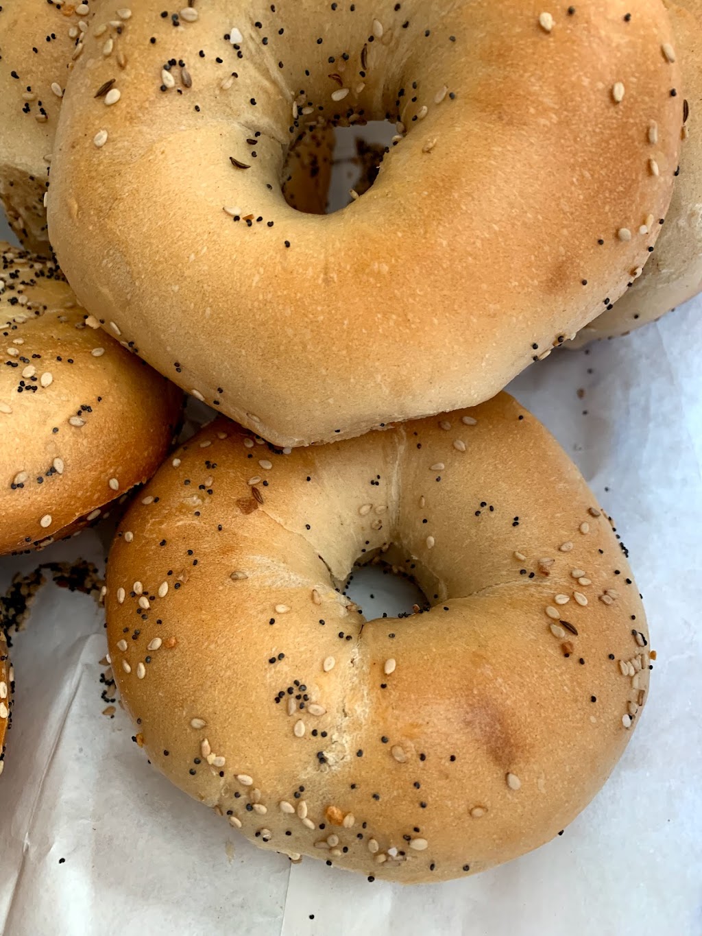 Village Square Bagels | 1262 W Boston Post Rd, Larchmont, NY 10538 | Phone: (914) 834-6969