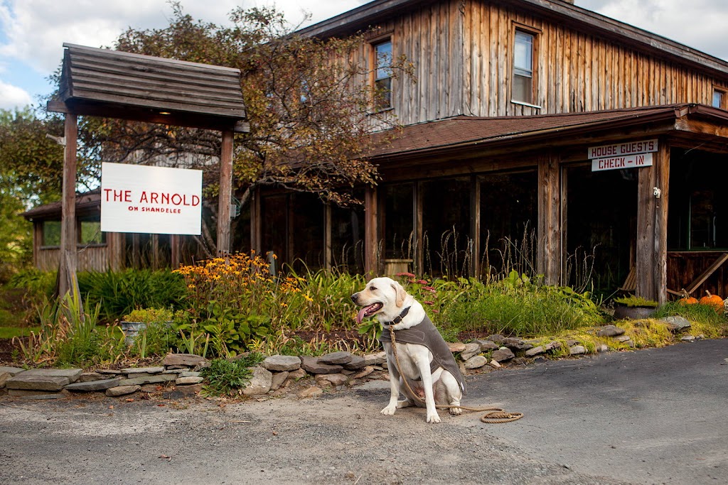 J&S Creekside Cabins | 12 Wegman Rd, Livingston Manor, NY 12758 | Phone: (607) 242-2960