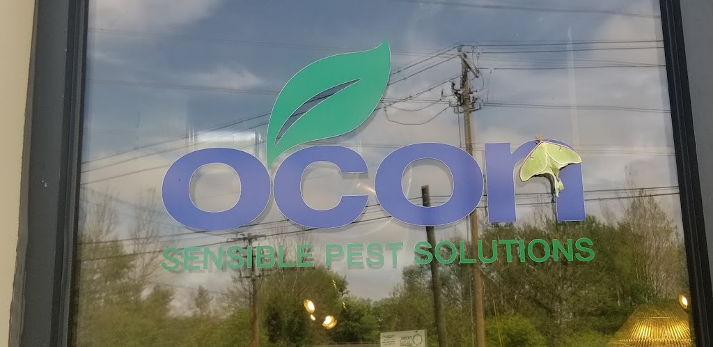 Ocon Termite & Pest Control | 4 Sand Cut Rd, Brookfield, CT 06804 | Phone: (203) 374-8011