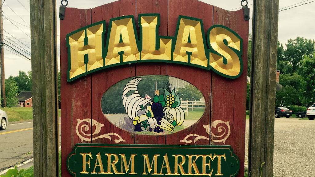 Halas Farm Market | 28 Pembroke Rd, Danbury, CT 06811 | Phone: (203) 746-4606