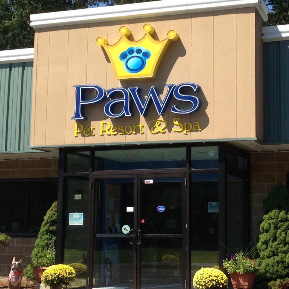 Paws Pet Resort & Spa | 312 E Johnson Ave, Cheshire, CT 06410 | Phone: (203) 250-7297