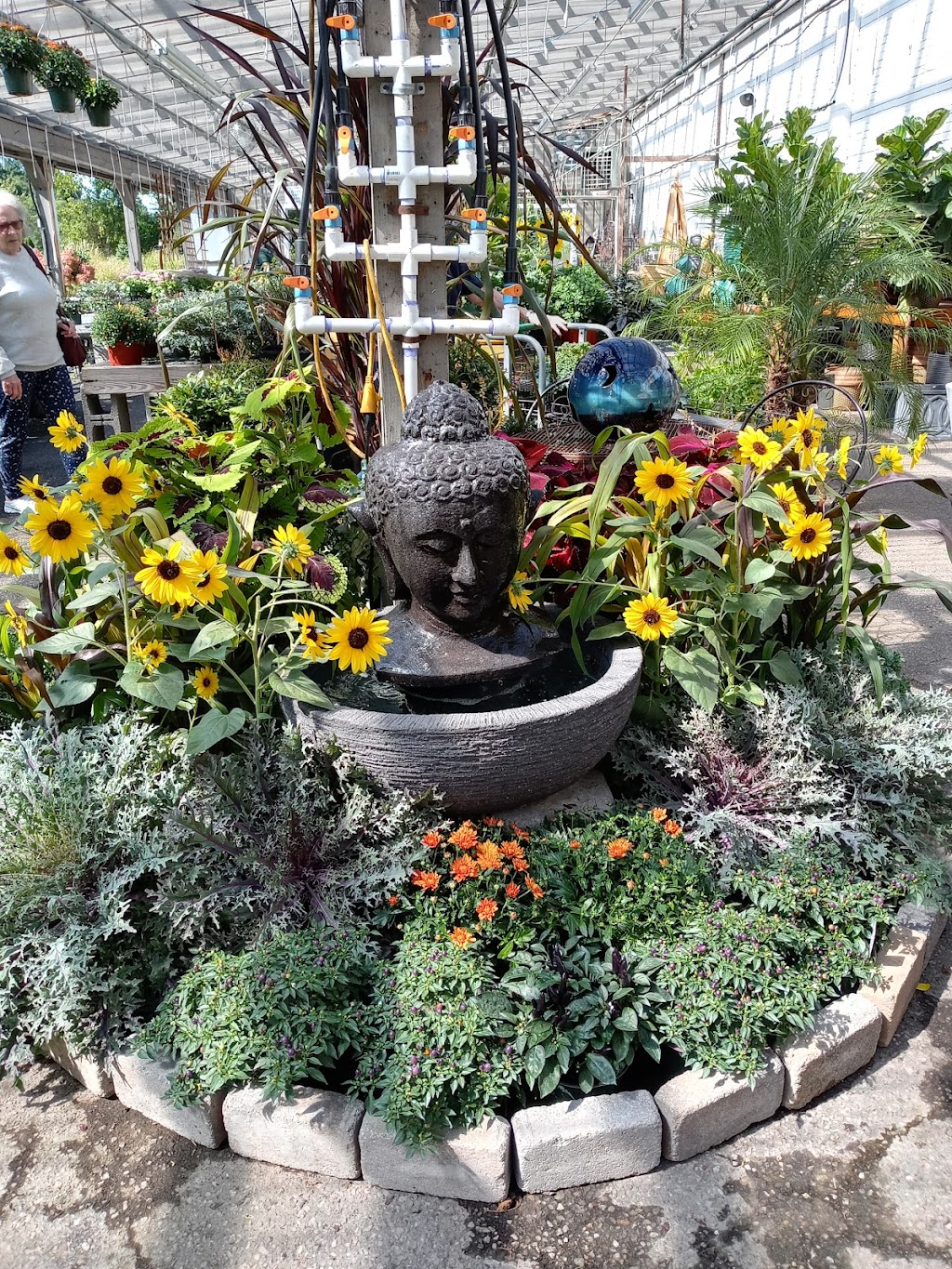 Hollandia Nurseries | 95 Stony Hill Rd, Bethel, CT 06801 | Phone: (203) 792-0268