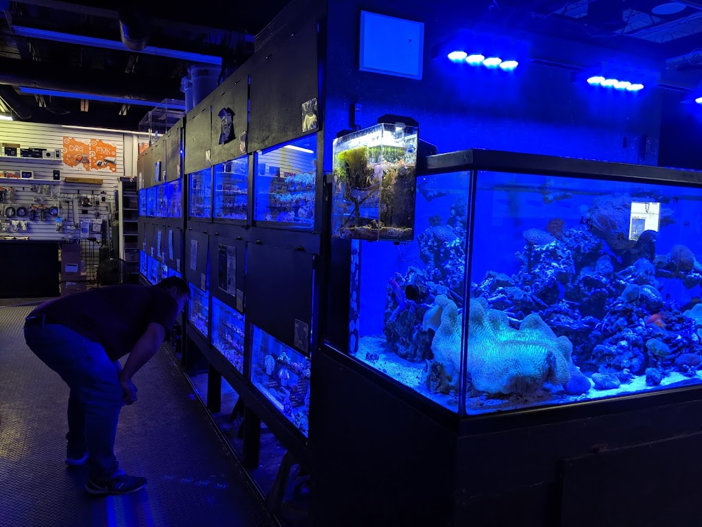 Something Fishy: Saltwater Aquarium Superstore | 511 E 21st St, Northampton, PA 18067 | Phone: (610) 502-9760