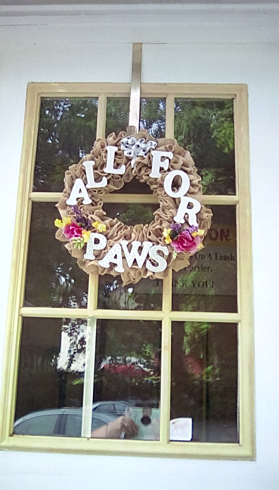 All For Paws, LLC | 149 Prospect St, Bristol, CT 06010 | Phone: (860) 582-7387