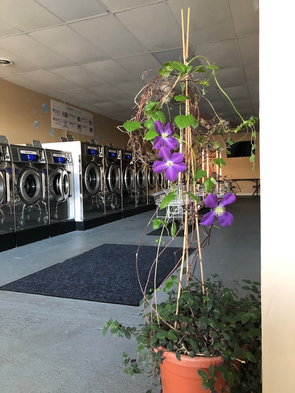 Clean Wave Laundromat | 429 Schuylkill Rd, Phoenixville, PA 19460 | Phone: (484) 924-9391