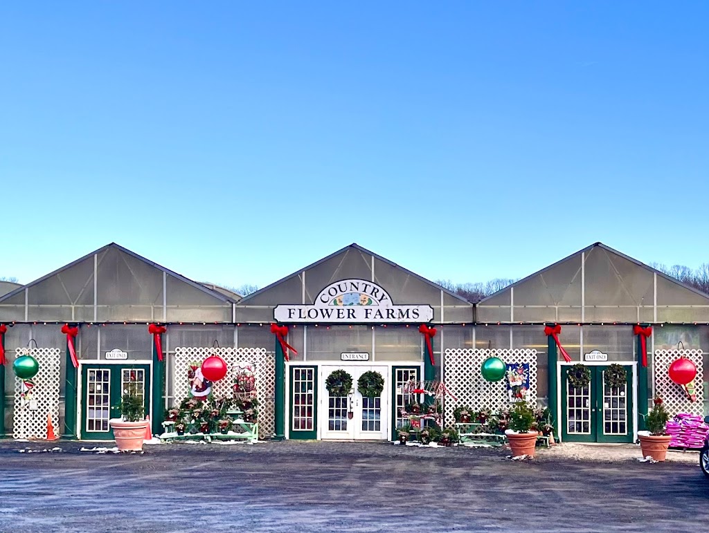 Country Flower Farms | 320 Baileyville Rd, Middlefield, CT 06455 | Phone: (860) 349-3690