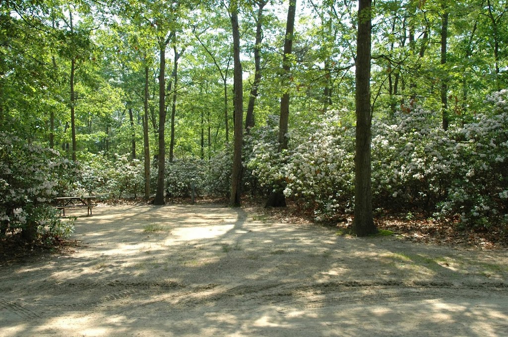 Bakers Acres Campground, Inc. | 230 Willets Ave, Little Egg Harbor Township, NJ 08087 | Phone: (609) 296-2664