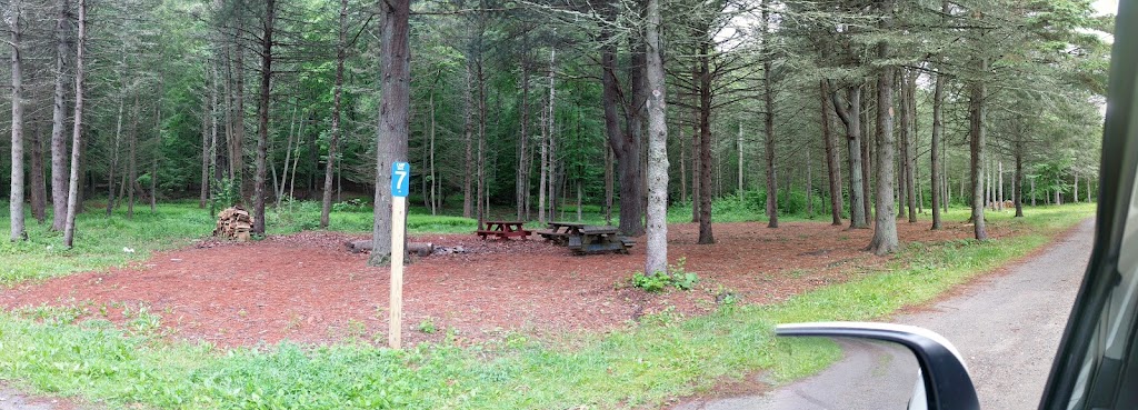 Webb Mountain Campsites 8-11 | Old Fish House Rd, Monroe, CT 06468 | Phone: (203) 452-2806