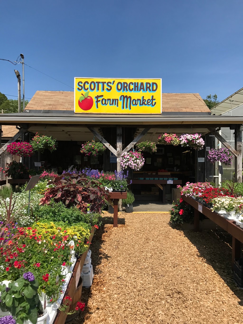 Scotts Farm Store | 356 Middlesex Turnpike, Old Saybrook, CT 06475 | Phone: (860) 388-1751
