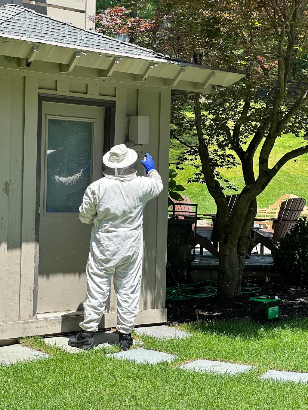 Mrs. Bzzz Pest & Termite Solutions | 8 Hammer Ln, Walden, NY 12586 | Phone: (845) 670-5888