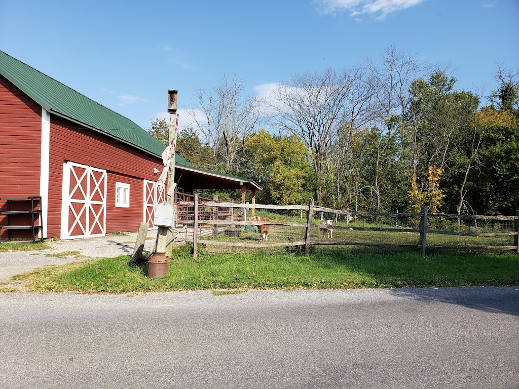 Herondale Farm Inc | 90 Wiltsie Bridge Rd, Ancramdale, NY 12503 | Phone: (518) 329-3769