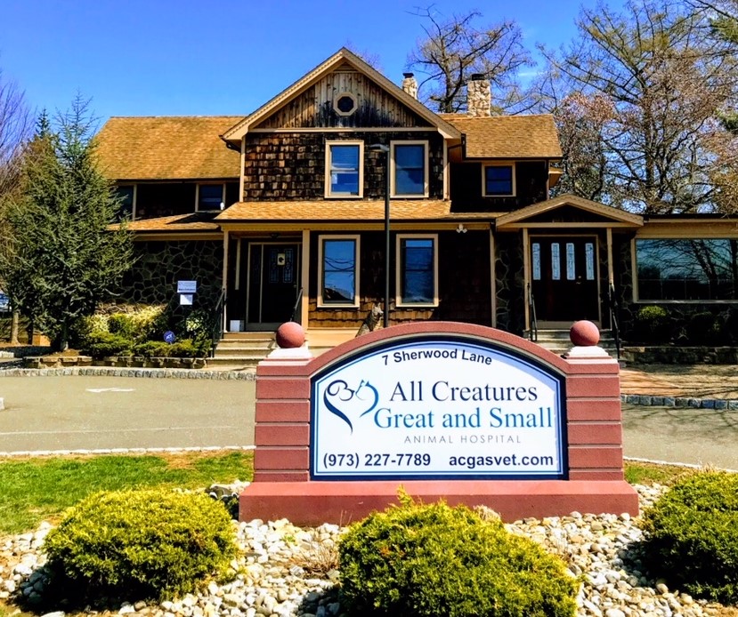 All Creatures Great and Small Animal Hospital | 7 Sherwood Ln, Fairfield, NJ 07004 | Phone: (973) 227-7789