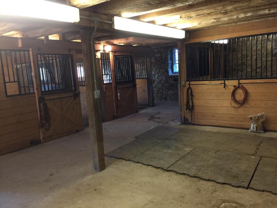 Aeroflex Equine Therapy | 157 Parker Rd, Long Valley, NJ 07853 | Phone: (201) 919-6180