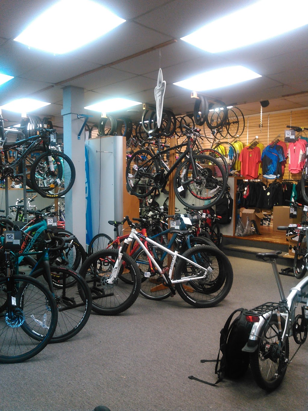 New Horizons Bikes | 55 Franklin St, Westfield, MA 01085 | Phone: (413) 562-5237