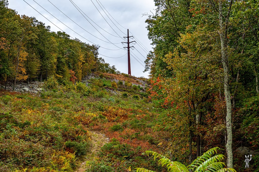 Jonas Mountain Nature Preserve | 739 Rainbow Terrace, Effort, PA 18330 | Phone: (570) 424-1514