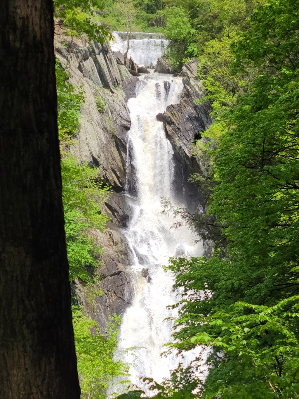 High Falls Conservation Area | 540 Roxbury Rd, Hudson, NY 12534 | Phone: (518) 392-5252