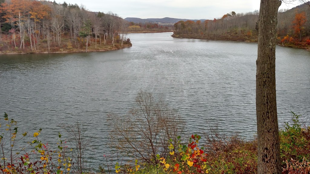 East Sidney Dam Recreation Area | Danville,, Franklin, NY 13775 | Phone: (607) 829-6433