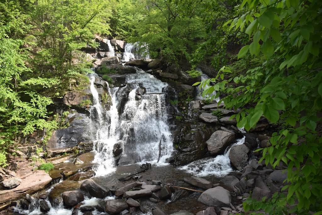 Kaaterskill Falls, Viewing Platform | Laurel House Rd, Palenville, NY 12463 | Phone: (518) 935-3735