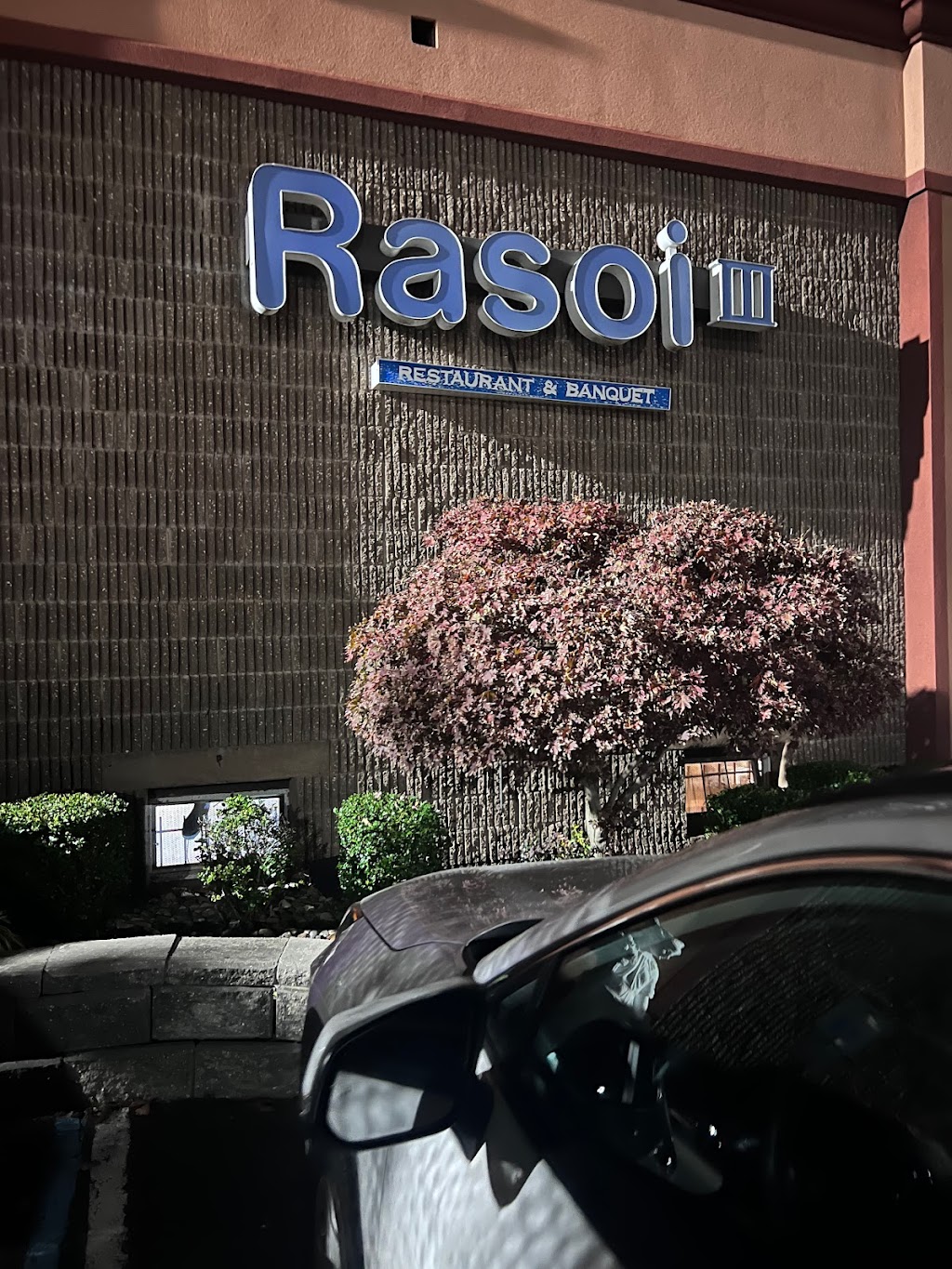 Rasoi III | 620 Georges Rd, Monmouth Junction, NJ 08852 | Phone: (732) 329-6540
