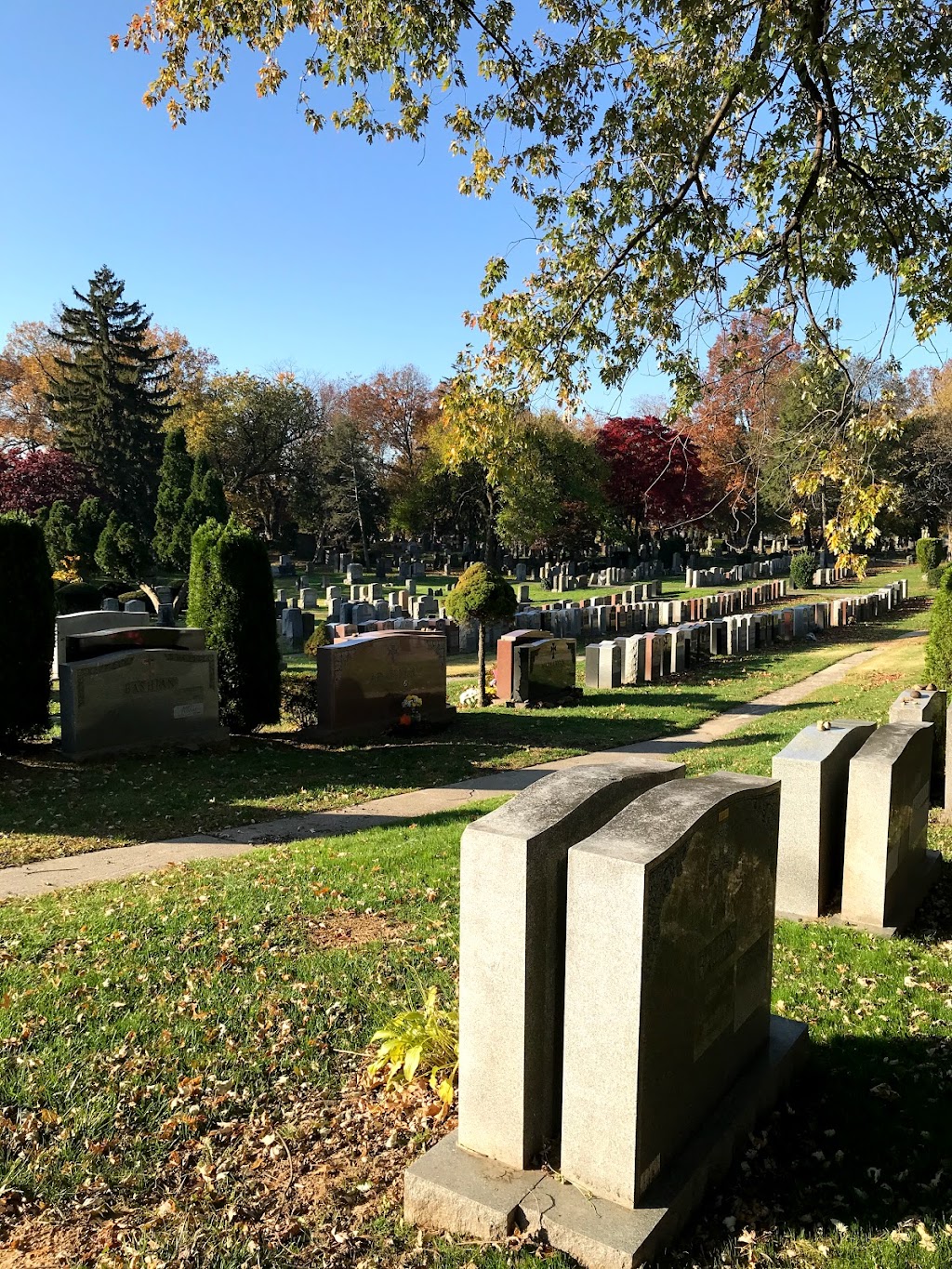 Cedar Grove Cemetery | 130-04 Horace Harding Expy, Flushing, NY 11367 | Phone: (718) 939-2041