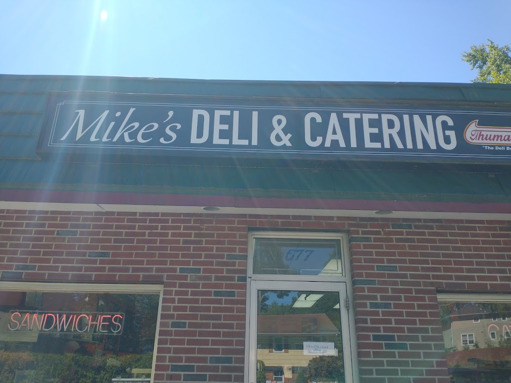 Mikes Deli and Catering | 577 Hillsdale Ave, Hillsdale, NJ 07642 | Phone: (201) 664-9696
