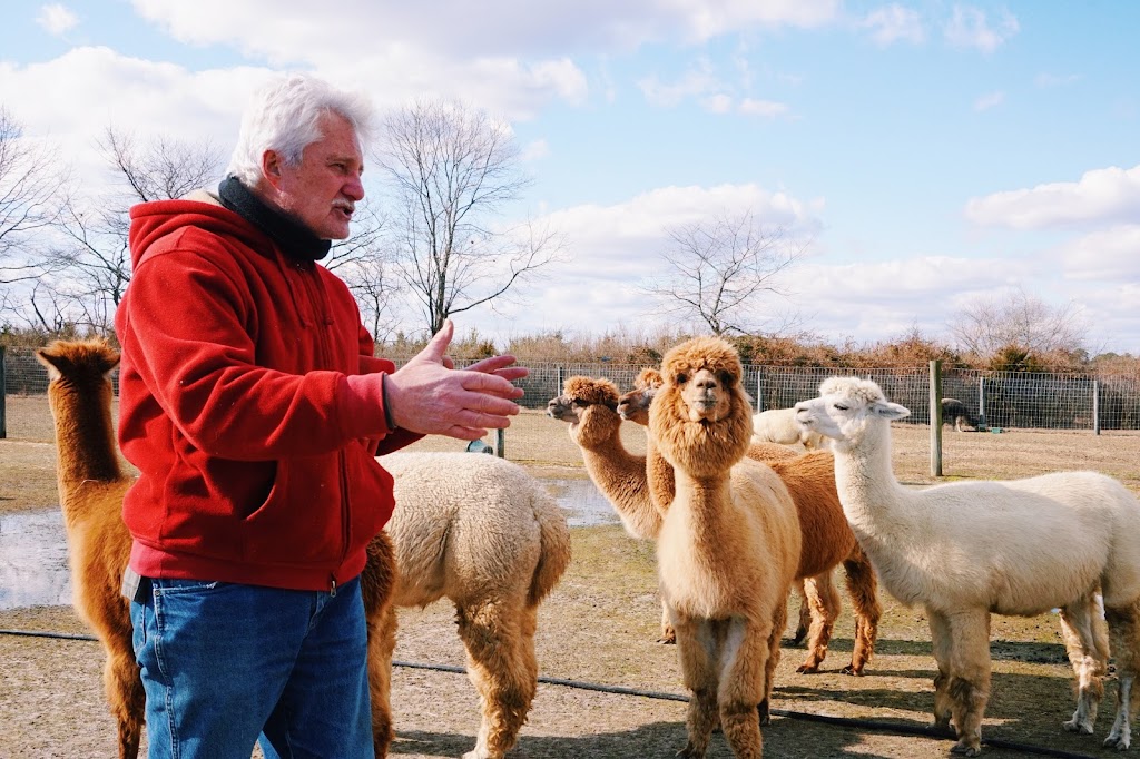 Silver Fox Farm Alpacas | 714 Herschel St, Egg Harbor City, NJ 08215 | Phone: (609) 992-3303