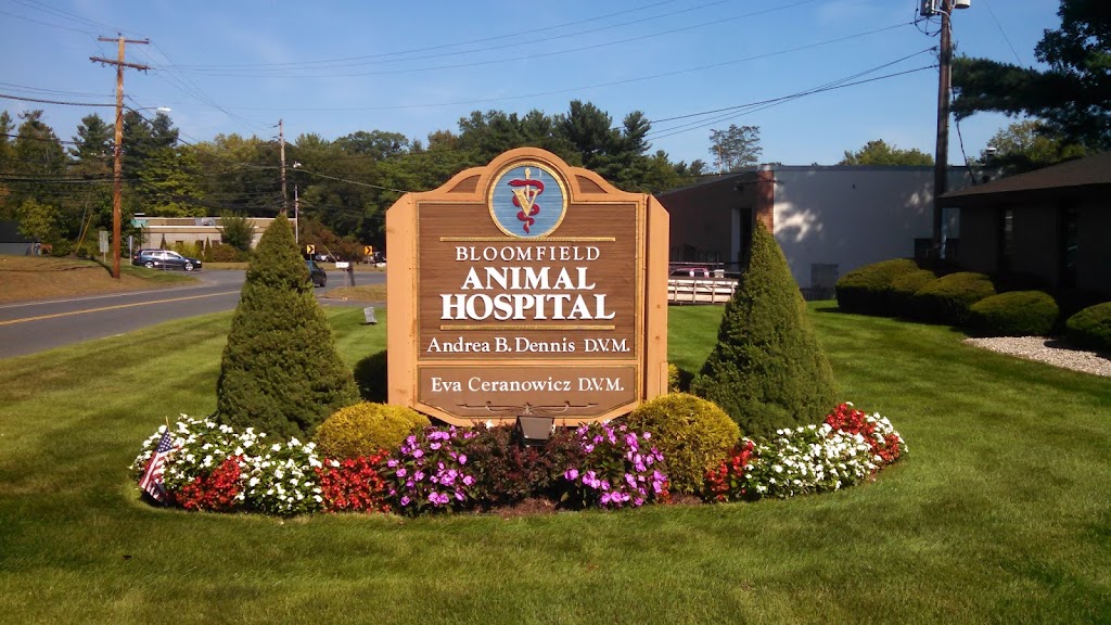 Bloomfield Animal Hospital | 77 Old Windsor Rd, Bloomfield, CT 06002 | Phone: (860) 286-2986