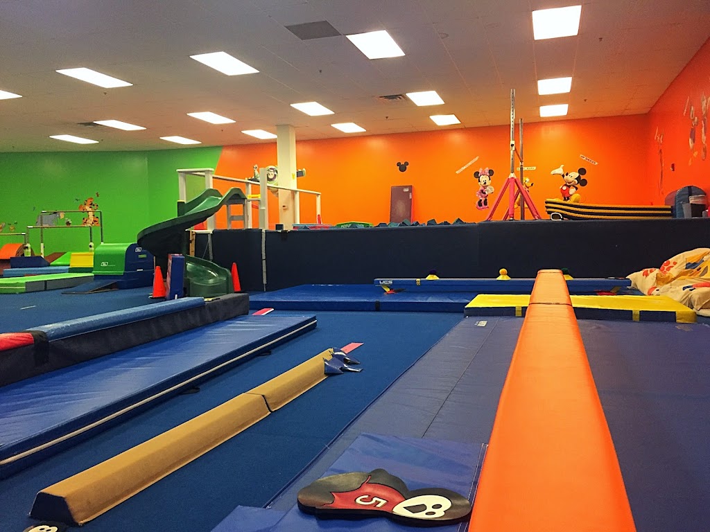 Ricochets Gymnastics | 362 S Warminster Rd, Hatboro, PA 19040 | Phone: (215) 328-0900