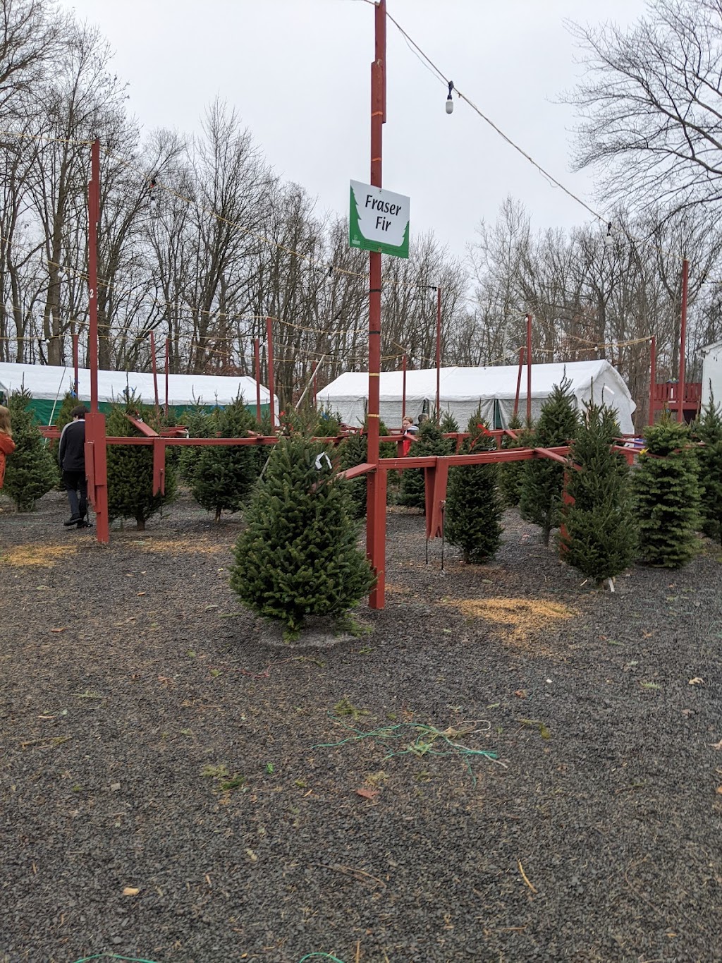 Stout Christmas Trees | 1570 Swamp Rd, Fountainville, PA 18923 | Phone: (215) 249-1334