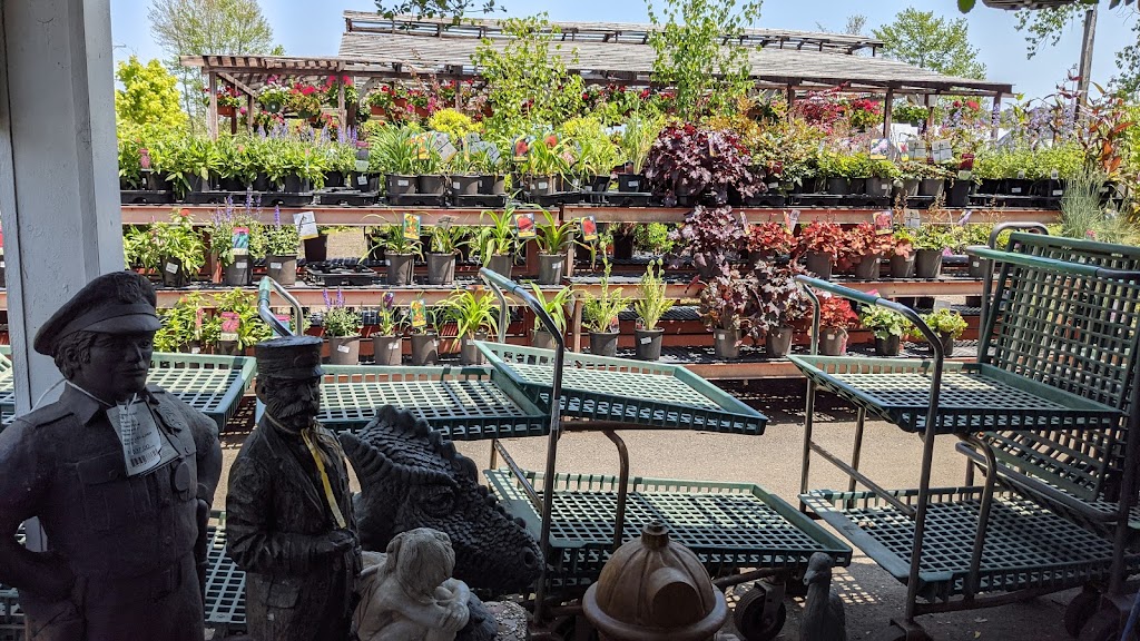 Class Grass Garden Center | 140 W State St Rt 202, Granby, MA 01033 | Phone: (413) 467-7979