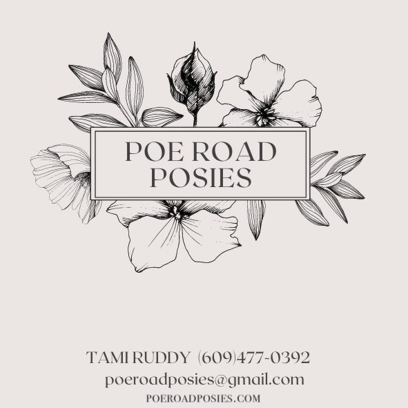 Poe Road Posies | 128 Poe Rd, Princeton, NJ 08540 | Phone: (609) 477-0392