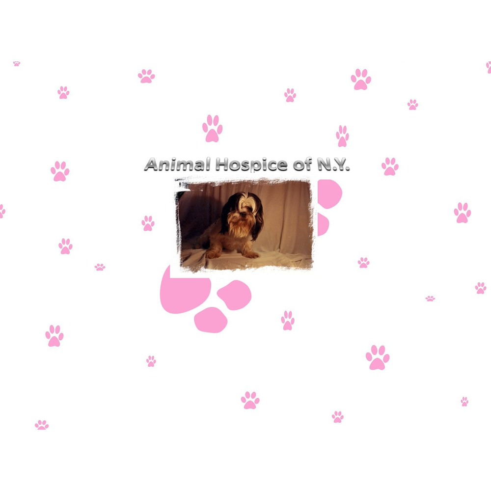 Animal Hospice | Animal Hospice of NY Inc,P0 box 1463 Kingston NY 12402, Saugerties, NY 12477 | Phone: (845) 382-2435