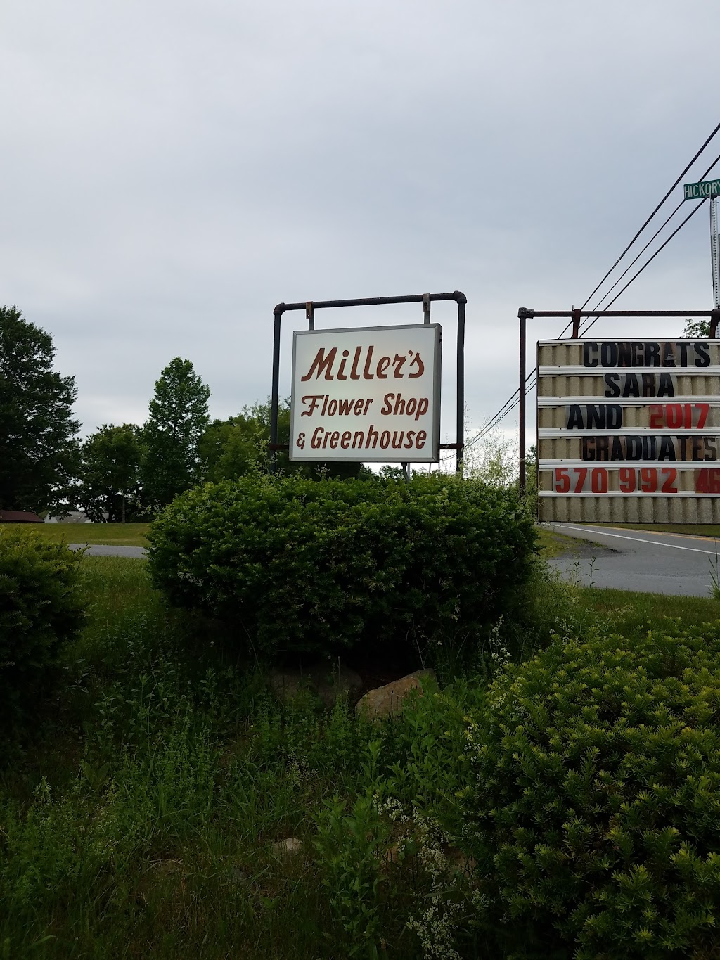 Millers Flower Shop by Kate LLC | 2247 US-209, Sciota, PA 18354 | Phone: (570) 992-4612