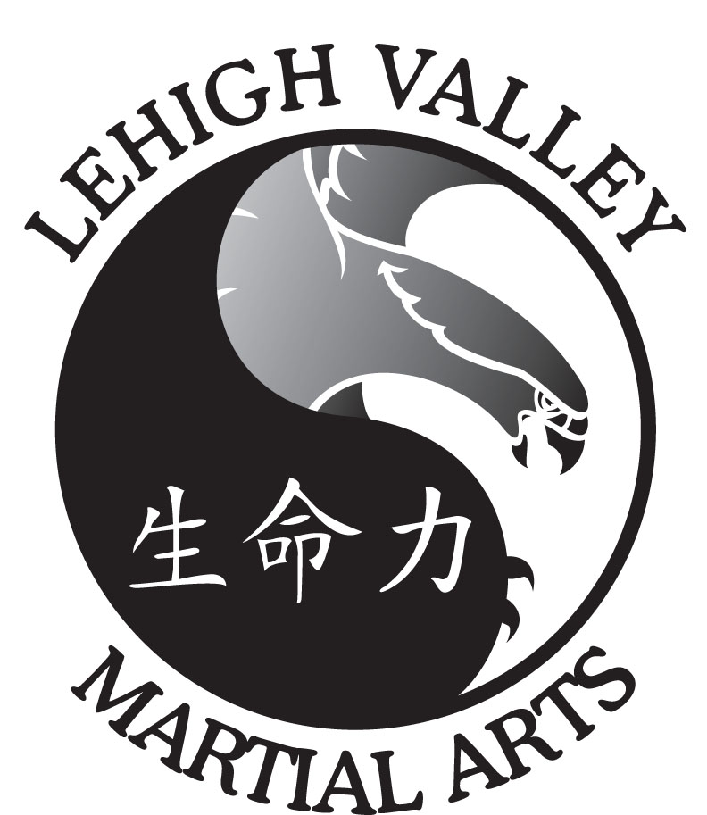 Lehigh Valley Martial Arts: Pennsburg | 622 Gravel Pike, East Greenville, PA 18041 | Phone: (267) 313-4090