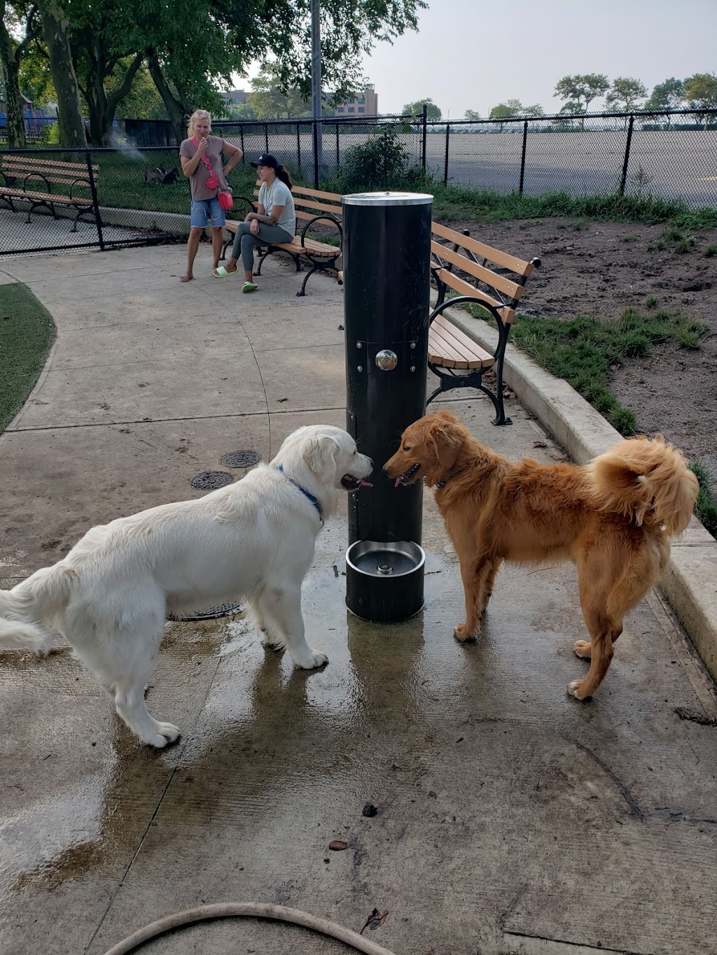 Manhattan Beach Dog Run | Park Ave, Brooklyn, NY 11235 | Phone: (212) 639-9675