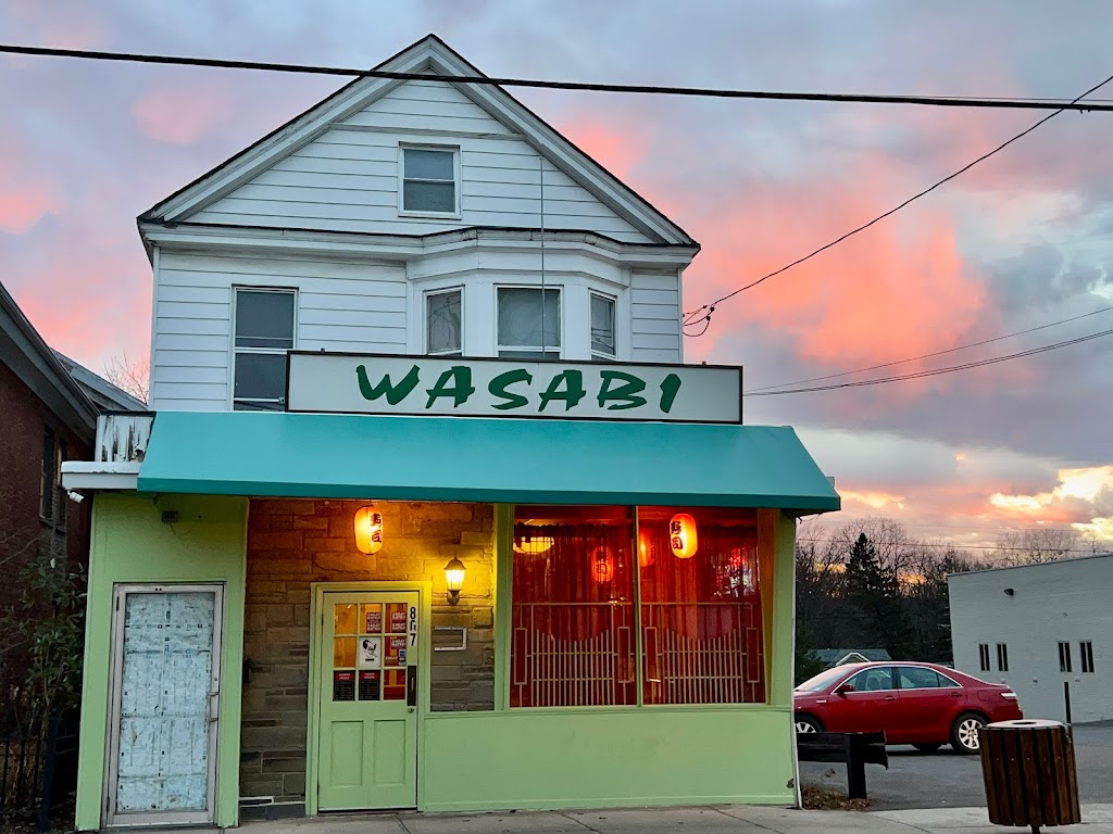 Wasabi | 807 Warren St, Hudson, NY 12534 | Phone: (518) 822-1888