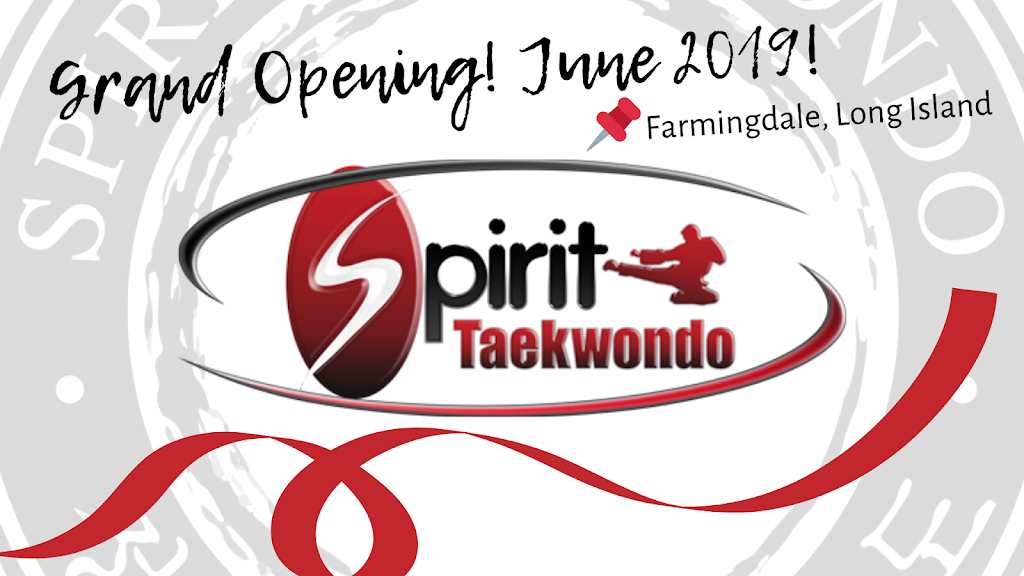 Spirit Taekwondo Farmingdale | 101 Fulton St, Farmingdale, NY 11735 | Phone: (516) 777-1555