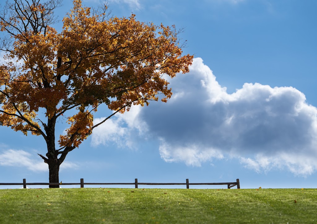 Eternal Sunset Memorial Park and Cemetery | 11 Sunset Inn Rd, Lafayette, NJ 07848 | Phone: (800) 267-1981