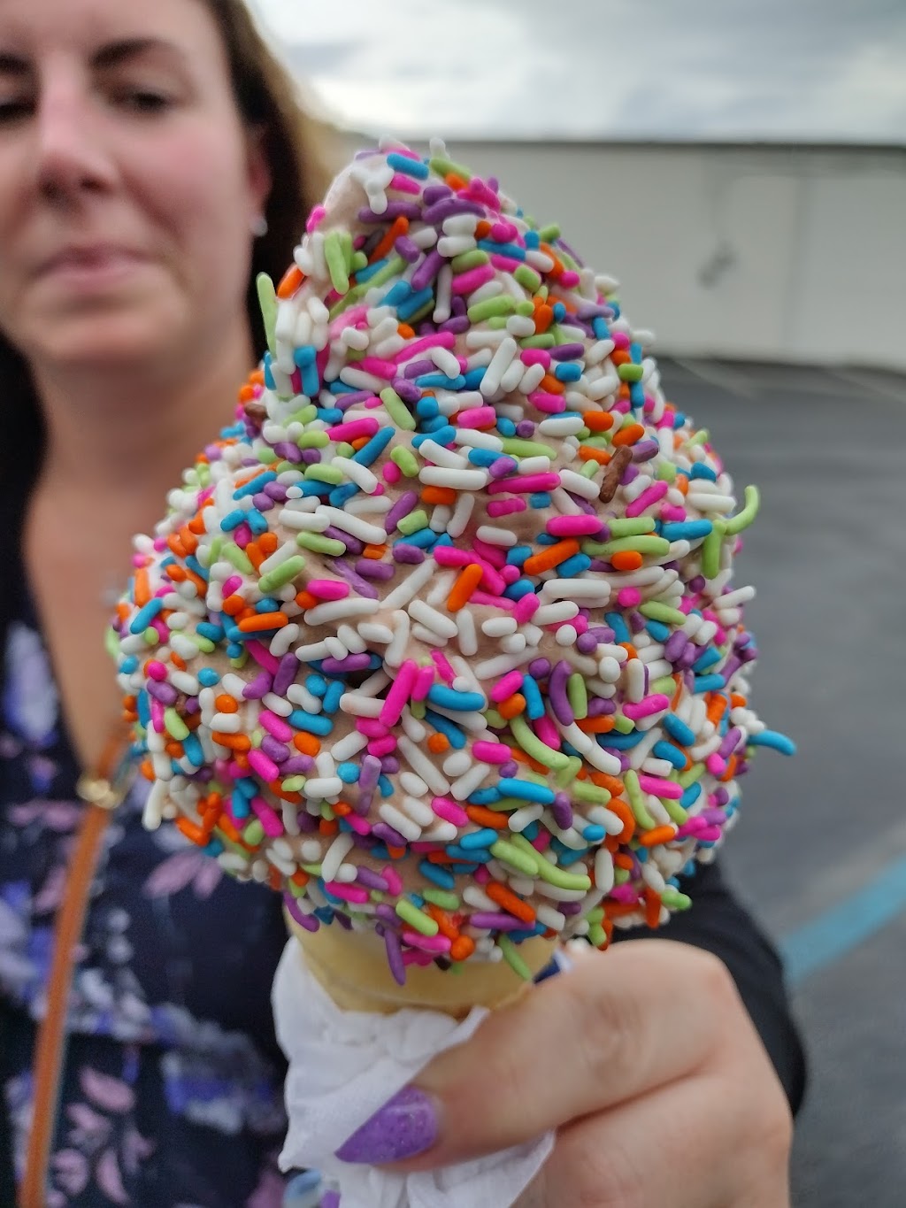 Mister Softee Ice Cream Store | 3605 Haddonfield Rd, Pennsauken Township, NJ 08109 | Phone: (856) 662-3787