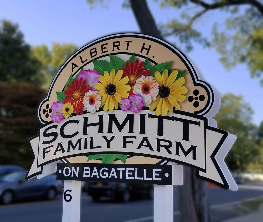 Albert H. Schmitt Family Farms on Bagatelle! | 6 Bagatelle Rd, Dix Hills, NY 11746 | Phone: (631) 549-3276