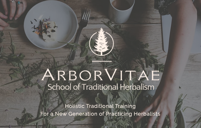 ArborVitae School of Traditional Herbalism | 181 Huguenot St, New Paltz, NY 12561 | Phone: (646) 721-5998
