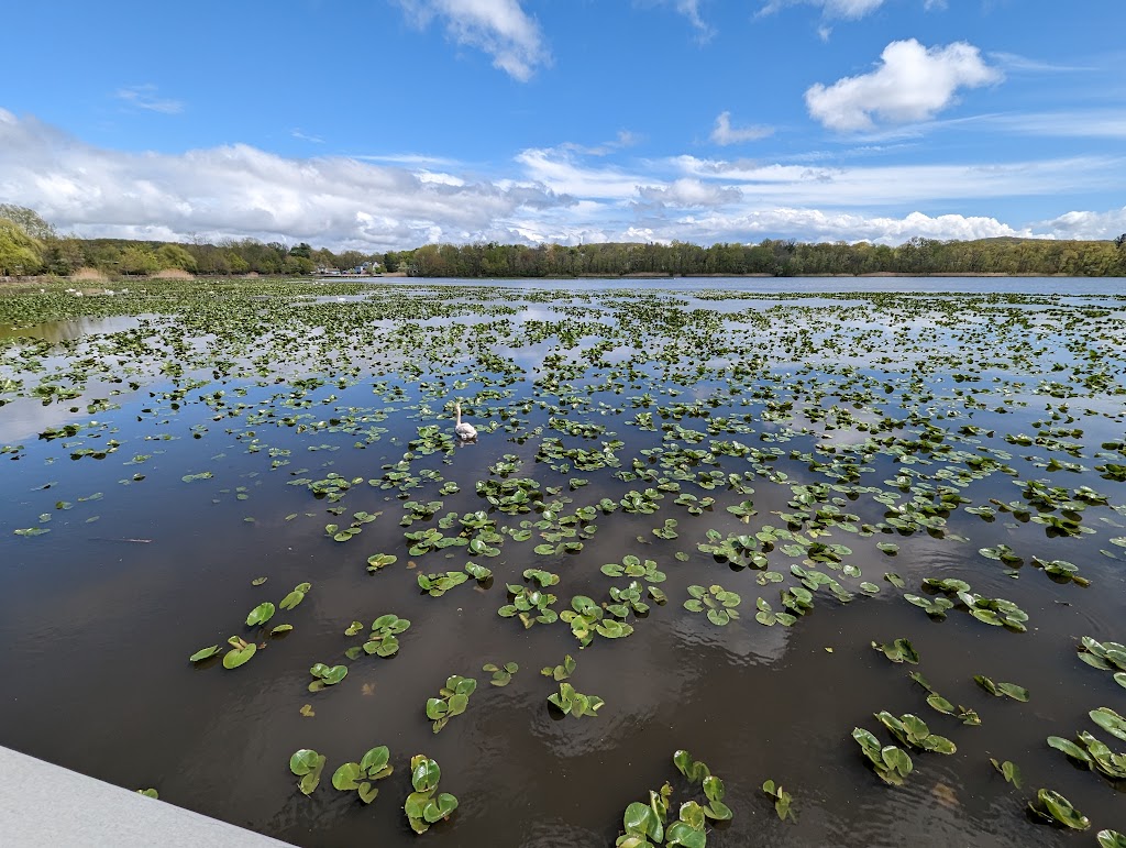 Congers Lake Memorial Park | 6 Gilchrest Rd, Congers, NY 10920 | Phone: (845) 639-6200