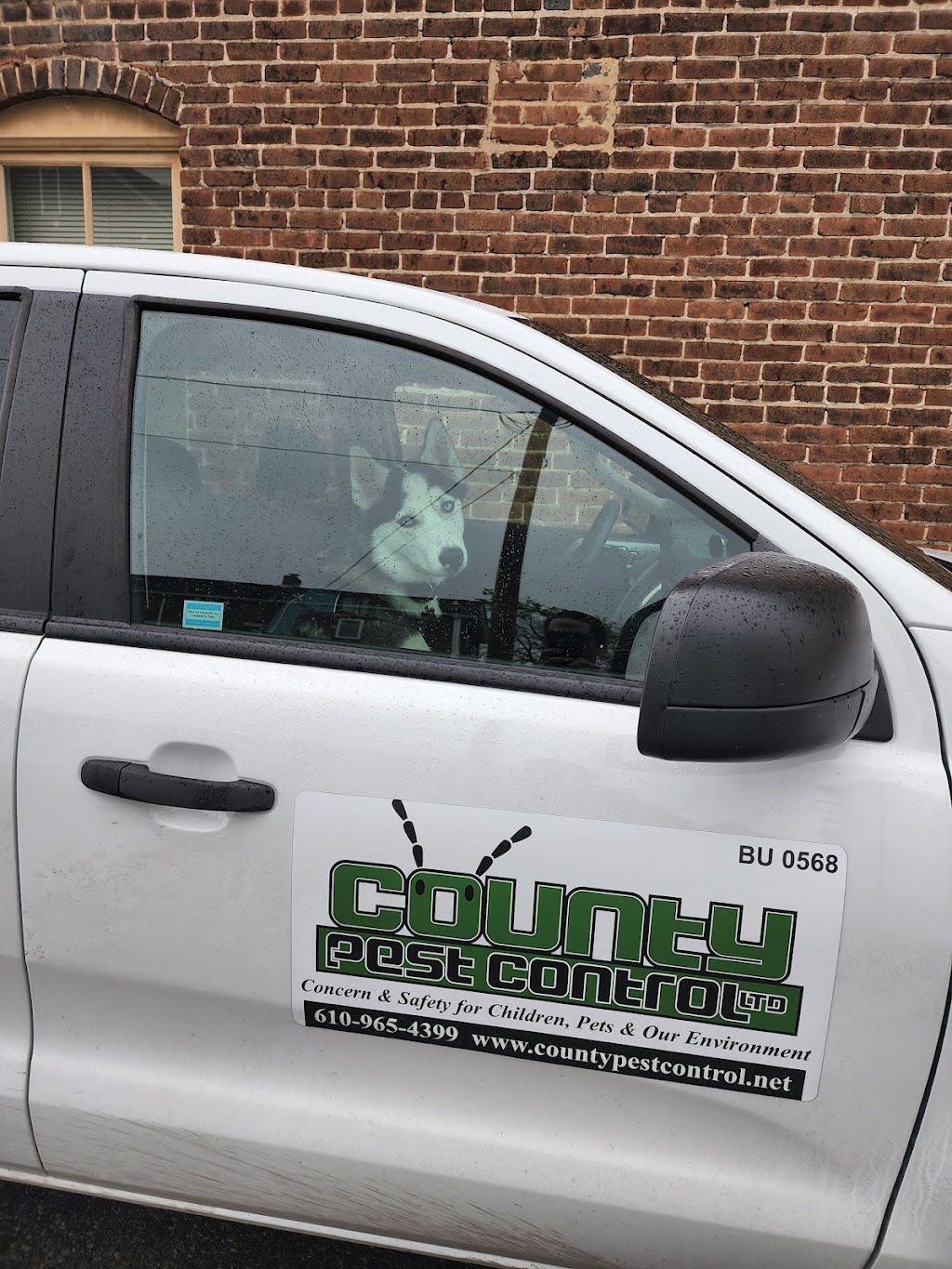 County Pest Control | 63 Seventh St, Emmaus, PA 18049 | Phone: (610) 965-4399