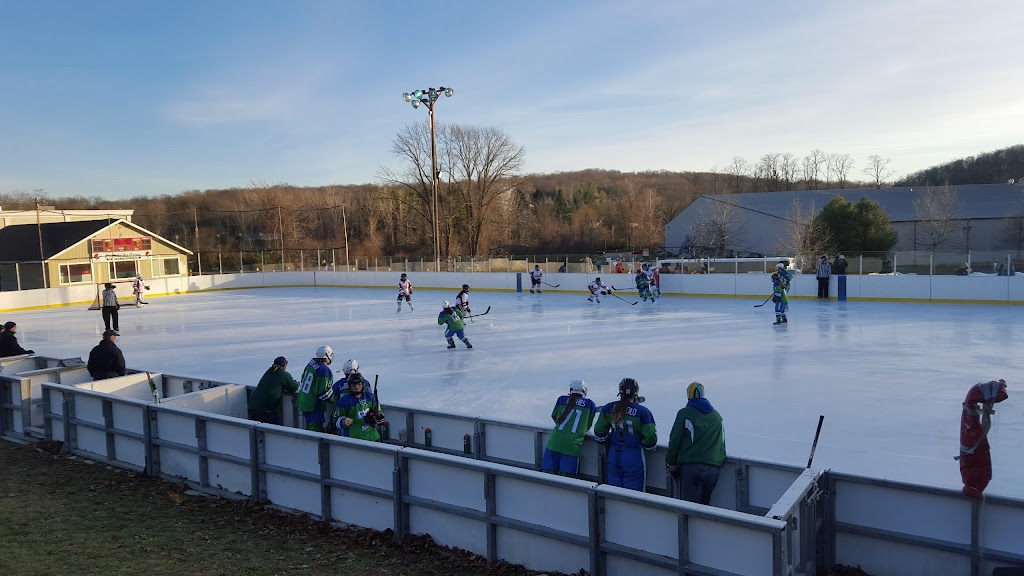 Brewster Ice Arena | 63 Fields Ln, Brewster, NY 10509 | Phone: (845) 279-2229