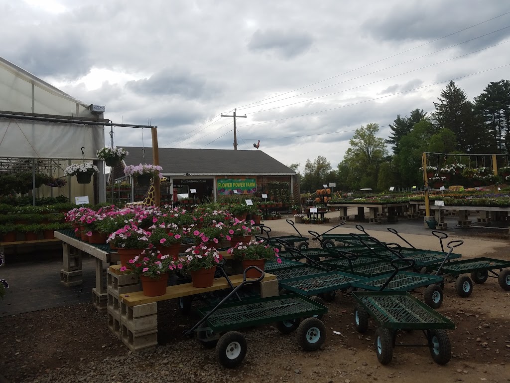 Flower Power Farm | 126 S Main St, East Windsor, CT 06088 | Phone: (860) 386-6603