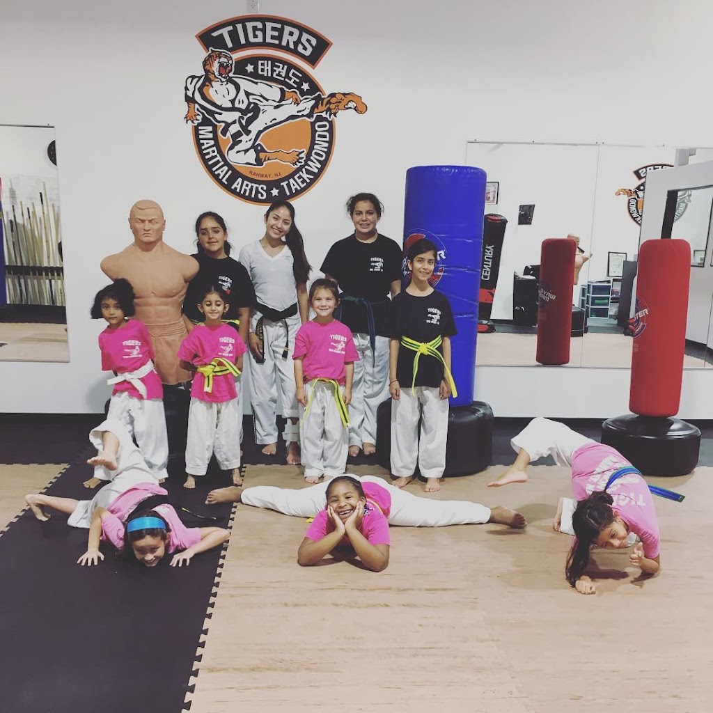 Tigers Martial Arts Academy - TMAA | 385 St Georges Ave # B, Rahway, NJ 07065 | Phone: (732) 381-1933